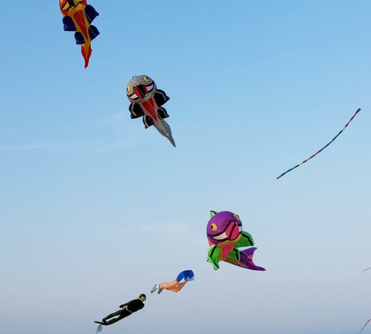 kites-photo